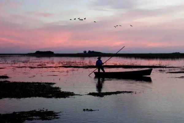 El Iberá fue reconocido como uno de los mejores destinos argentinos para visitar