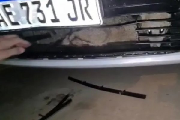 Corrientes: un zorrito terminó encerrado en la parrilla de un auto que lo chocó