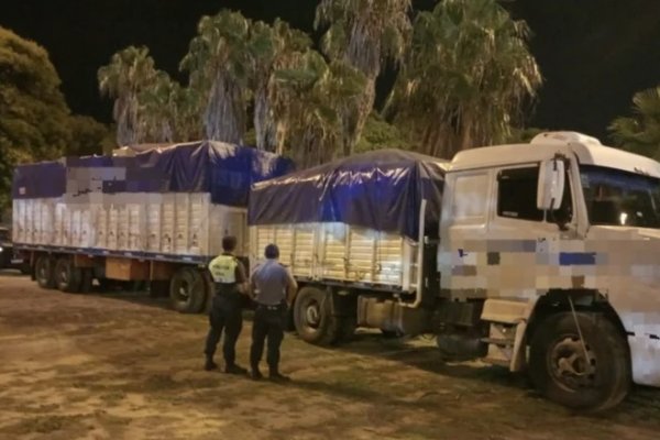 Corrientes: Un camionero quedó preso tras detectar que estaba alcoholizado y evadir un control