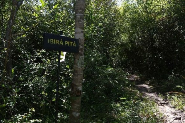 Corrientes suma un nuevo monumento natural, se trata de la reserva de Santa Catalina