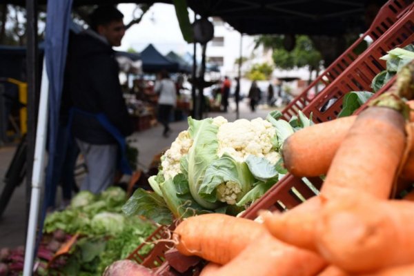 Ferias de la ciudad: Hoy, en Plaza Torrent