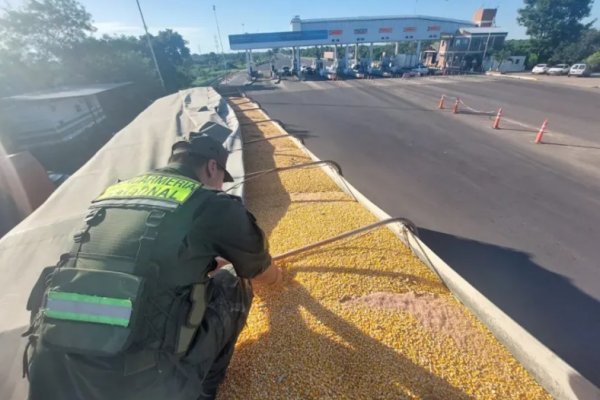 Decomisaron 27.500 kilos de maíz en el acceso al puente General Belgrano