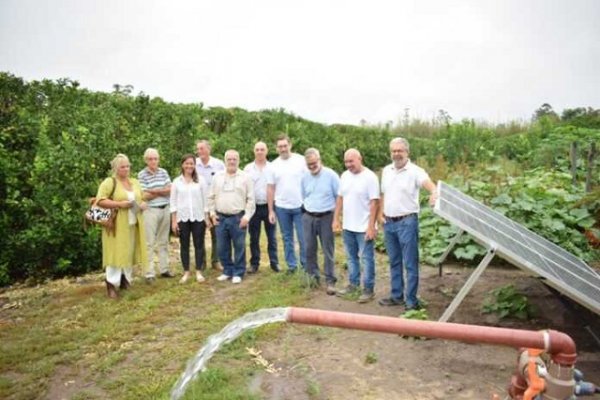 Productores Citrícolas pusieron en marcha equipos solares para sistema de riego