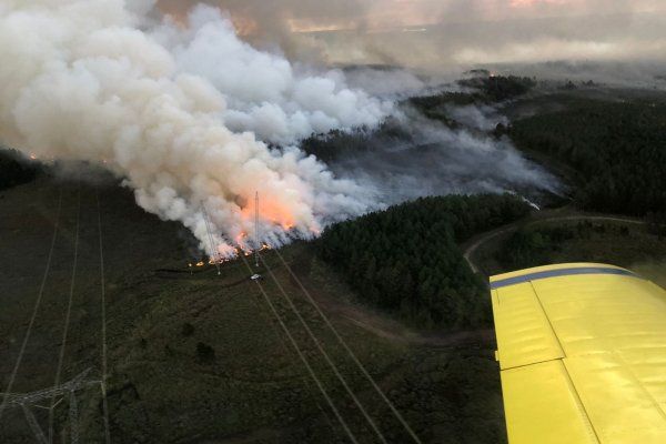 Incendios en Corrientes: hay cuatro focos y uno activo en Ituzaingó