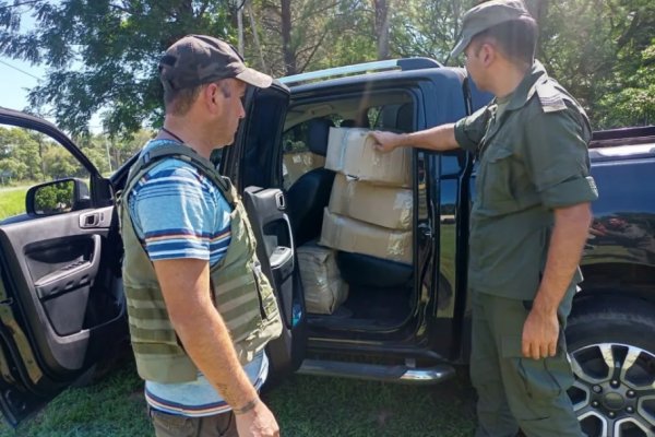 Secuestraron sábalos congelados en el acceso a Paso de la Patria