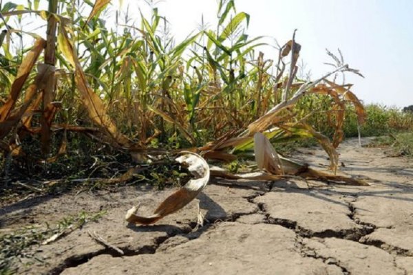 Corrientes presentó líneas de financiación para productores en emergencia