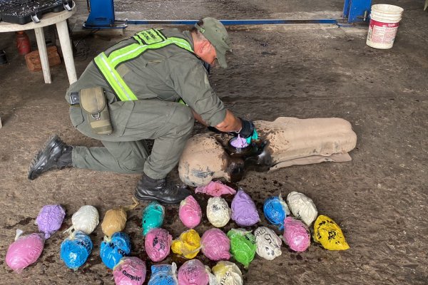 Ocultaba más de 16 kilos de marihuana dentro del tanque de combustible de un auto