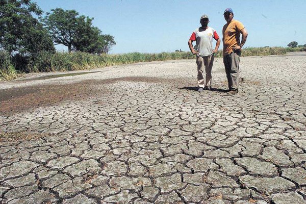 El drama de la sequía en Corrientes: solo 5.000 de sus 39.000 lagunas tienen agua