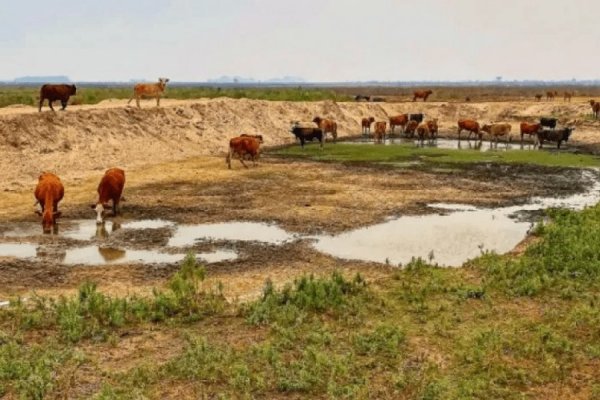 Sequía: se secaron más del 80% de las lagunas en Corrientes