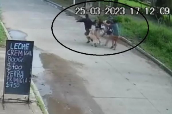 Agredieron a golpes y manosearon a mujeres en robos callejeros