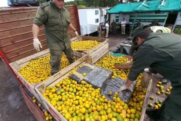 Corrientes: Otro operativo federal antidrogas por fuerzas federales decomisó más de 1000 kilos de marihuana