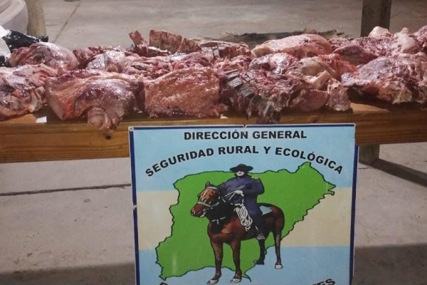 Incautan carne vacuna que habría sido faenada sin las medidas sanitarias correspondientes