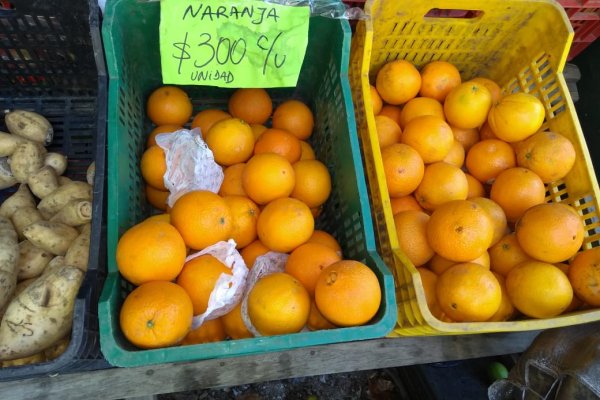 Malestar de productores correntinos con el Gobierno Nacional por autorizar la importación de naranjas