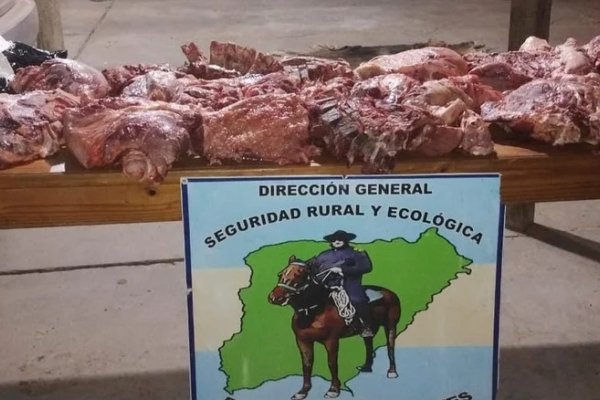 Detuvieron a un hombre con 100 kilos de carne vacuna sin la medidas sanitarias correspondientes