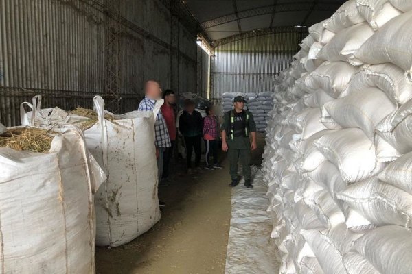 Desarticulan organización dedicada al transporte y acopio de granos