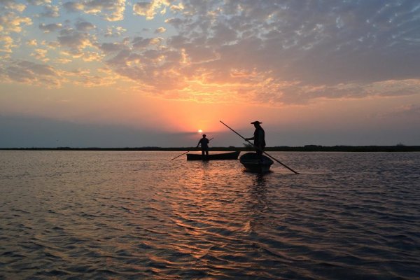 El hechizo de Corrientes: cinco días de alta naturaleza en los Esteros del Iberá y Esquina
