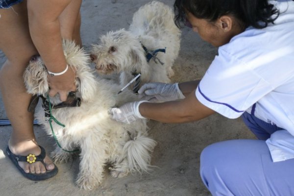 La Muni en tu barrio iniciará su recorrido en el Doctor Montaña