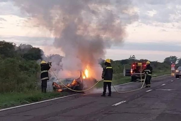 Un automóvil chocó una manada de ciervos y se incendió