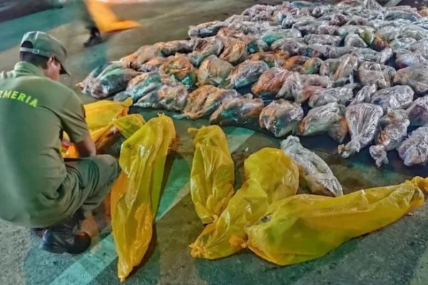 Gendarmería incautó 800 kilos de pescados en el acceso al puente General Belgrano