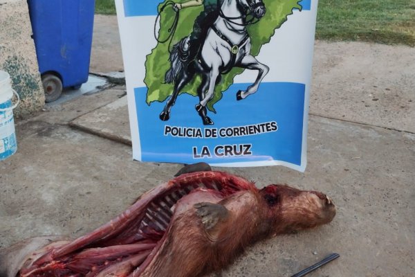 Demoraron a dos personas con un animal silvestre faenado