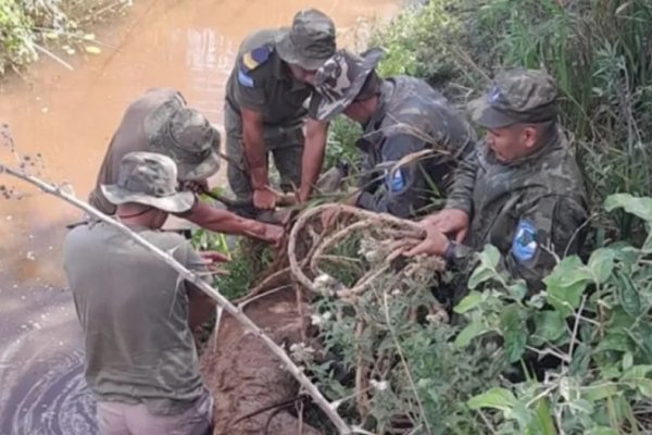 Policías rescataron un ciervo que quedó atrapado en un zanjón cerca de la ruta 5