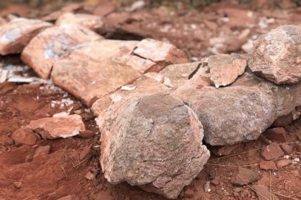 Encontraron el fémur de un titanosaurio en Neuquén