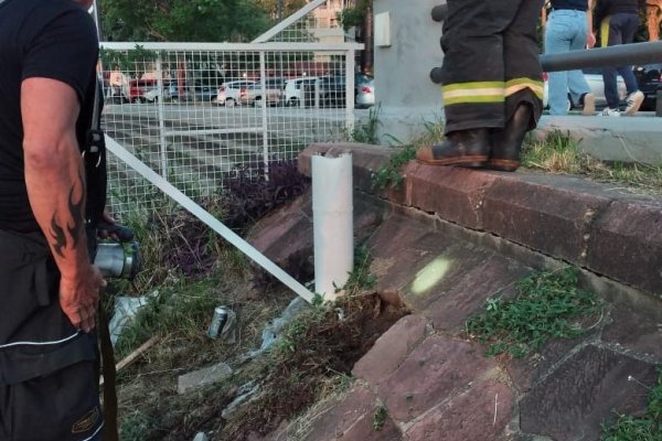 Una serpiente sorprendió a los visitantes en la costanera correntina