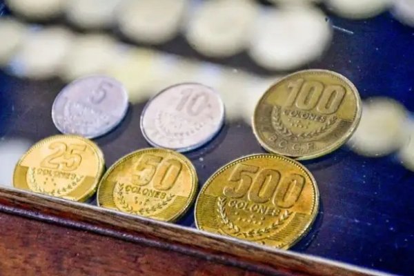 Donaron monedas francesas a un museo del interior correntino