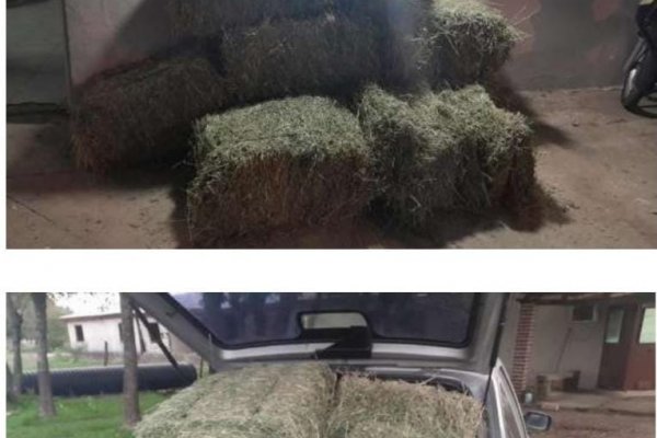 La Policía recuperó fardos de alfalfas denunciados como sustraídos