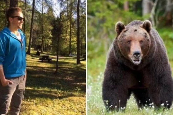 Polémica por la posible ejecución de una osa que mató a un hombre en un bosque de Italia