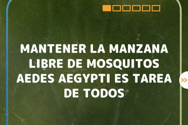 San Roque: múltiples tareas para prevenir el dengue en la ciudad