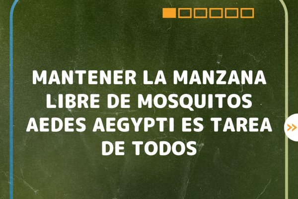San Roque: múltiples tareas para prevenir el dengue en la ciudad