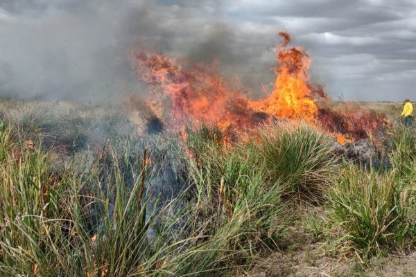 Santo Tomé: detectan dos focos de incendios en campos cercano a las rutas 40 y 36