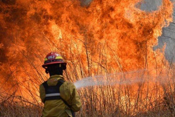 En Concepción se registra el único incendio forestal activo en todo el país