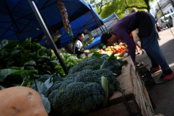 Ferias de la ciudad: dónde podrás encontrarla desde el martes 25