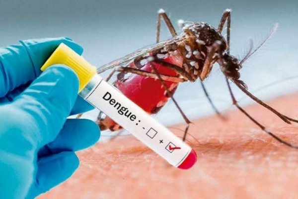 Se registraron más de 67 mil casos y 48 muertes por Dengue, la cifra más alta en la historia del país