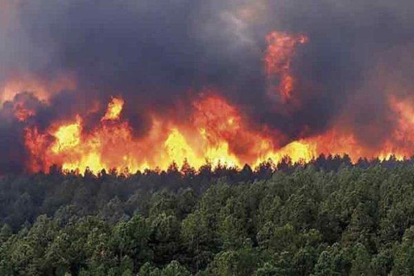 La localidad de Concepción registra el único incendio forestal activo en todo el país