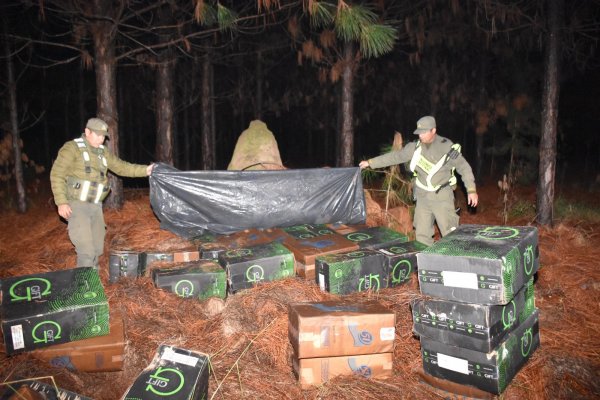 Incautan 26 mil paquetes de cigarrillos de contrabando en Corrientes y Misiones