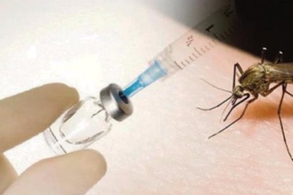 Aprobaron la vacuna para la prevención del dengue