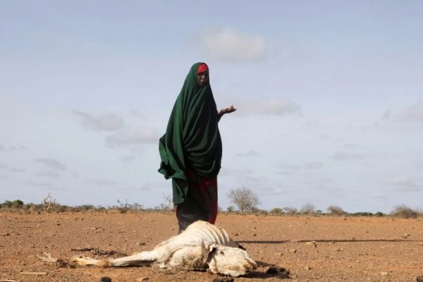 Unicef: una persona muere de hambre cada 36 segundos en el Cuerno de Africa