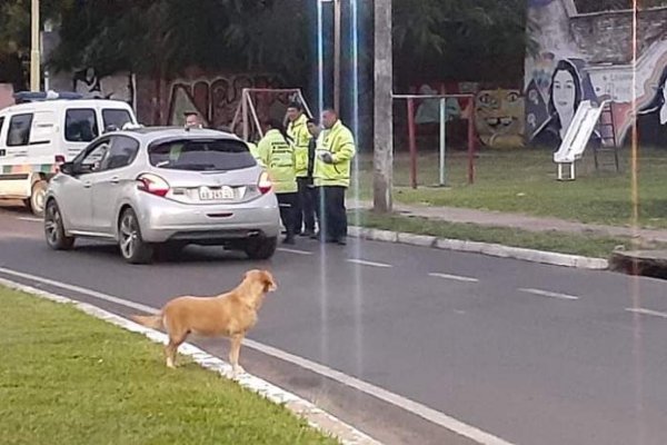 Corrientes: atropellaron a tres agentes de transito e intentaron darse a la fuga