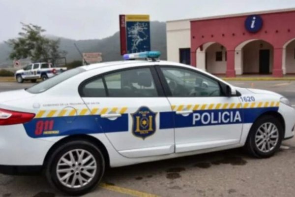 Un albañil violó a tres perras de la familia para la que trabajaba