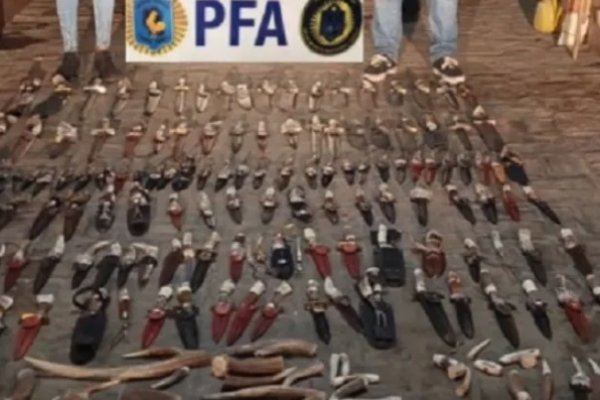 Corrientes: Desactivan red que usaba piezas de fauna autóctona para fabricar cuchillos