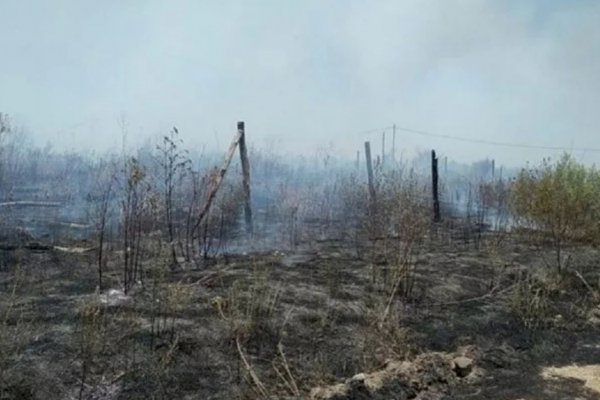 Extinguieron los incendios en Corrientes y no quedan focos activos en el país