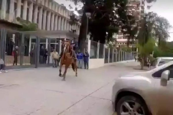 Chaco: Un hombre intentó ingresar a la Casa de Gobierno a caballo