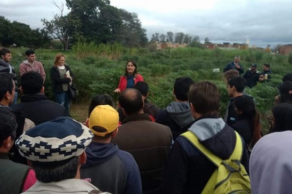 Asesorarán a productores en la utilización de desperdicios forrajeros para alimentar ganado