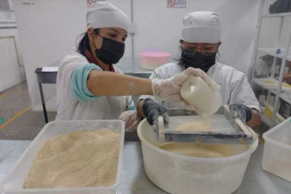 Alumnos venden harina de batata con recetas para saber cómo utilizarla