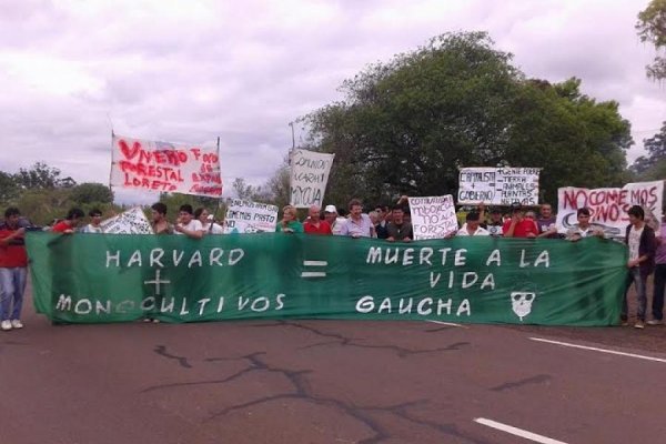 Todo lo que implica la venta de tierras que tenía Harvard en Corrientes