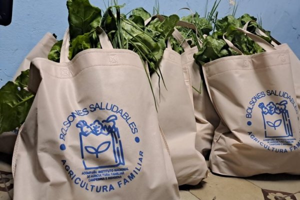 Volvieron los Bolsones Saludables de la Agricultura Familiar