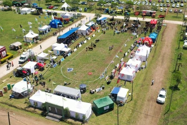 Las exposiciones nacionales de Braford, Brahman y Dorper vuelven a Corrientes